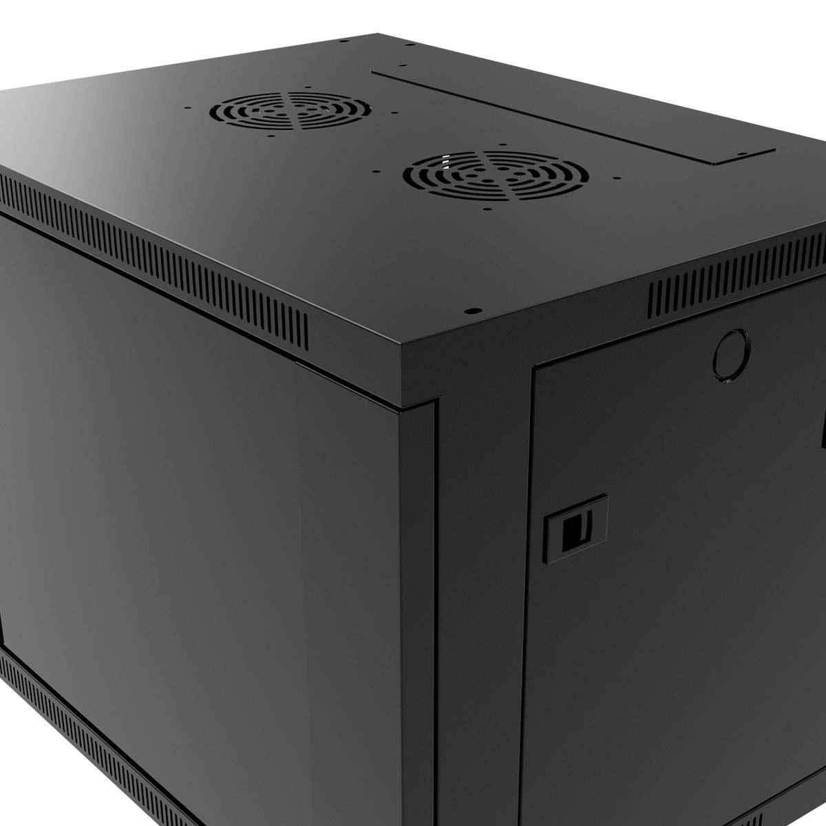 Fixed SKD wall mount enclosure - PCRWESKDXXU45FXBK